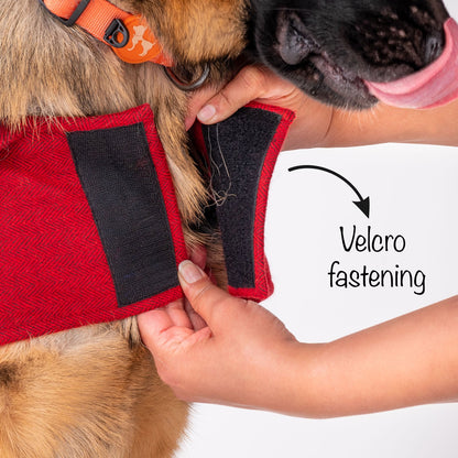 HUFT Rosy Cosy Dog Jacket - Red - Heads Up For Tails