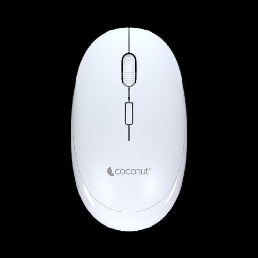 Coconut Glory Wireless & Bluetooth Mouse(White) - HalfPe