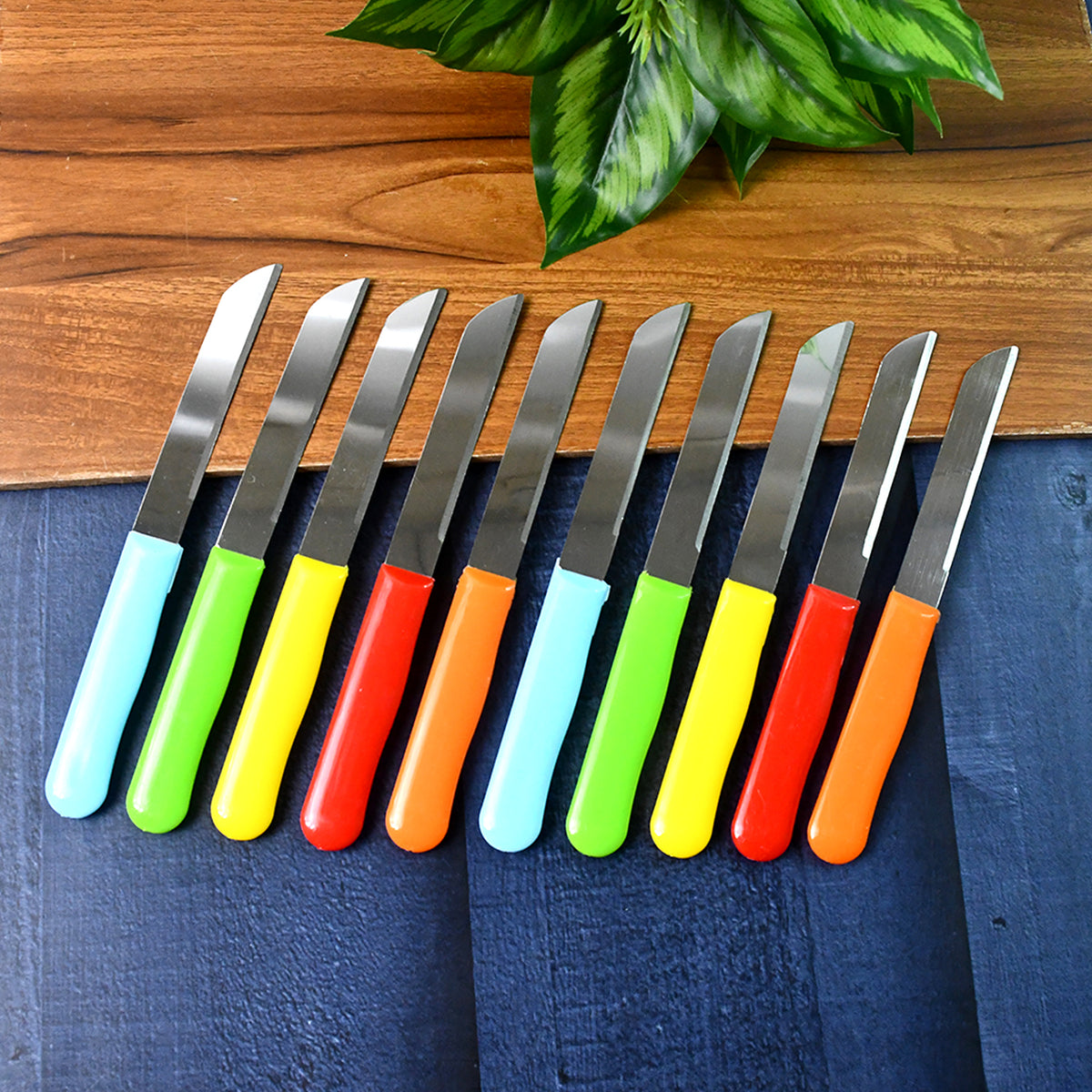 Premium Quality Stainless Steel Handle Plain Knife (10 Pc  1 Set)