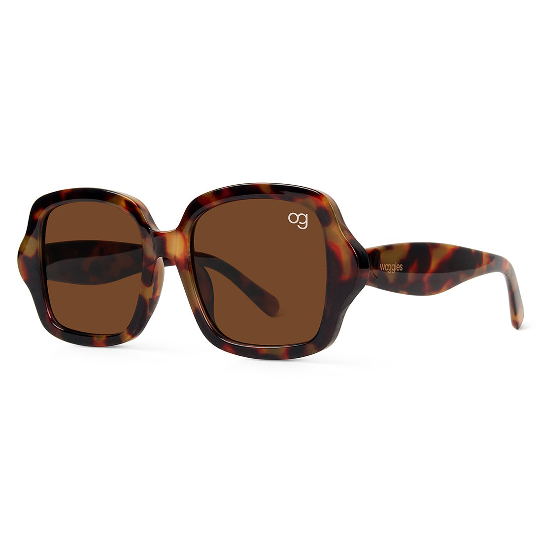 Brown Monochromatic Square Sunglasses - View 9