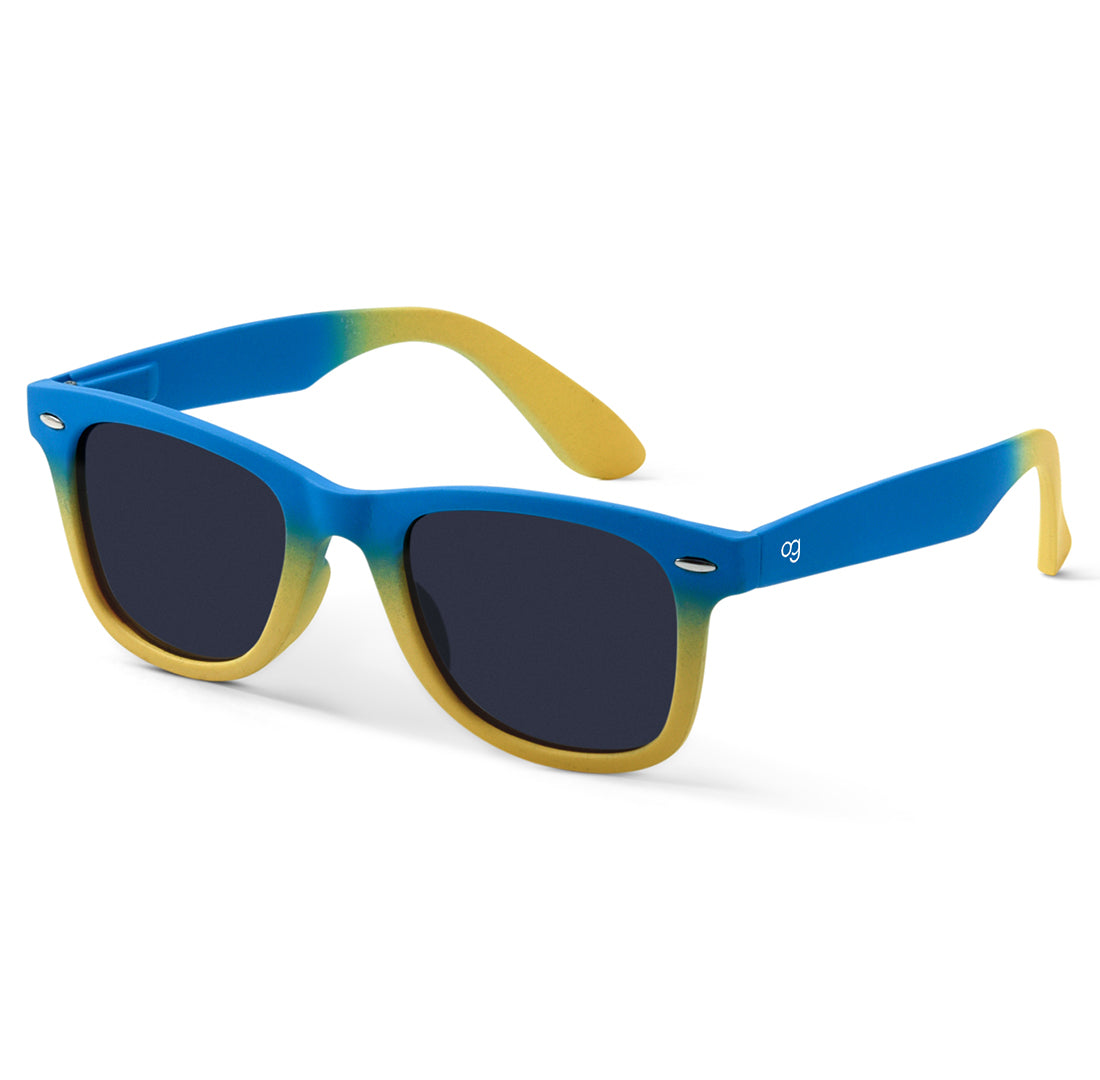 Black Classic Collection Wayfarer Sunglasses