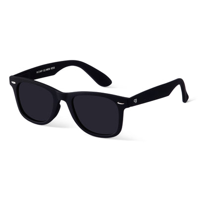 Black Polarized Wayfarer Sunglasses