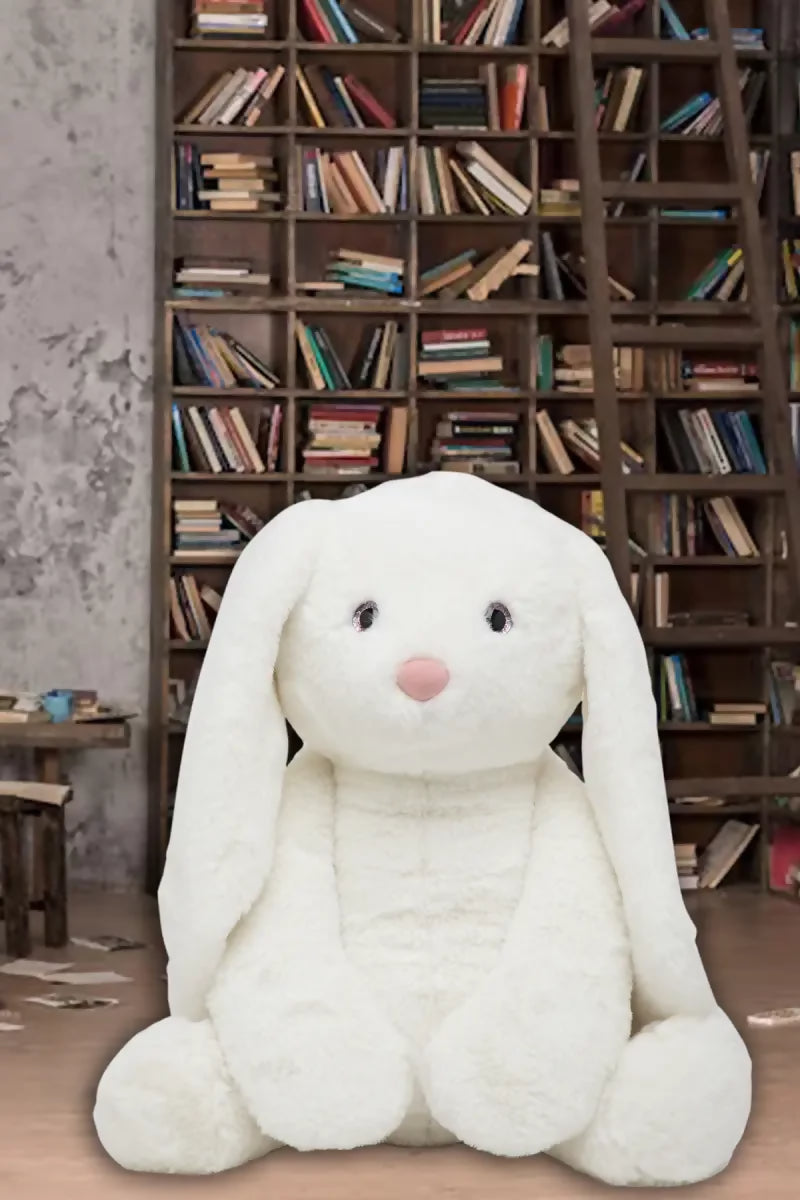 1696586408458__1696586407965__754A3588%2520A[1]