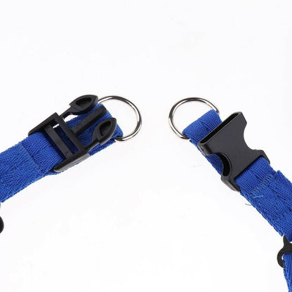 1 inch - Harness, Walking Rope and Collar belt Combo - HalfPe