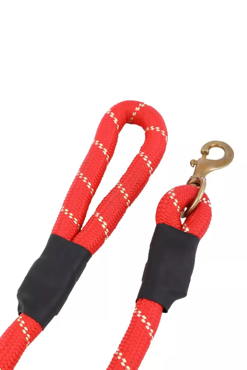 1711976420606__1711976420245__145A6004