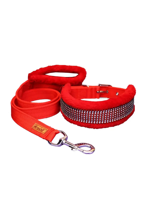 1726730419293__1726730418868__IMG_0919