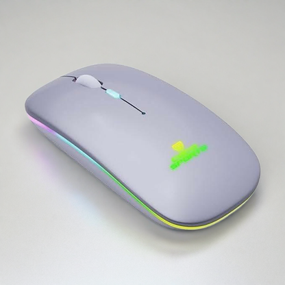 Coconut WM12 Stone Rechargeable Wireless Mouse(Grey)