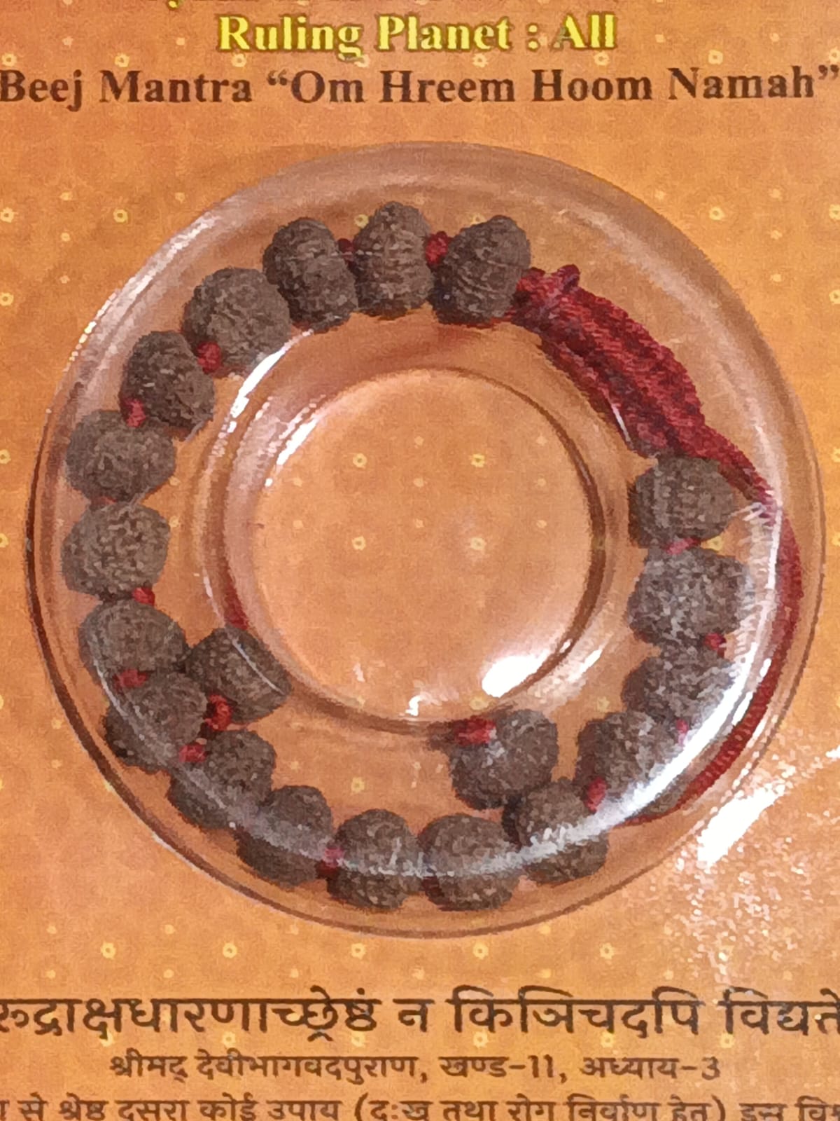 10 Mukhi Rudraksha Bracelet – Sacred Vishnu Bead Spiritual Protection Wrist Mala