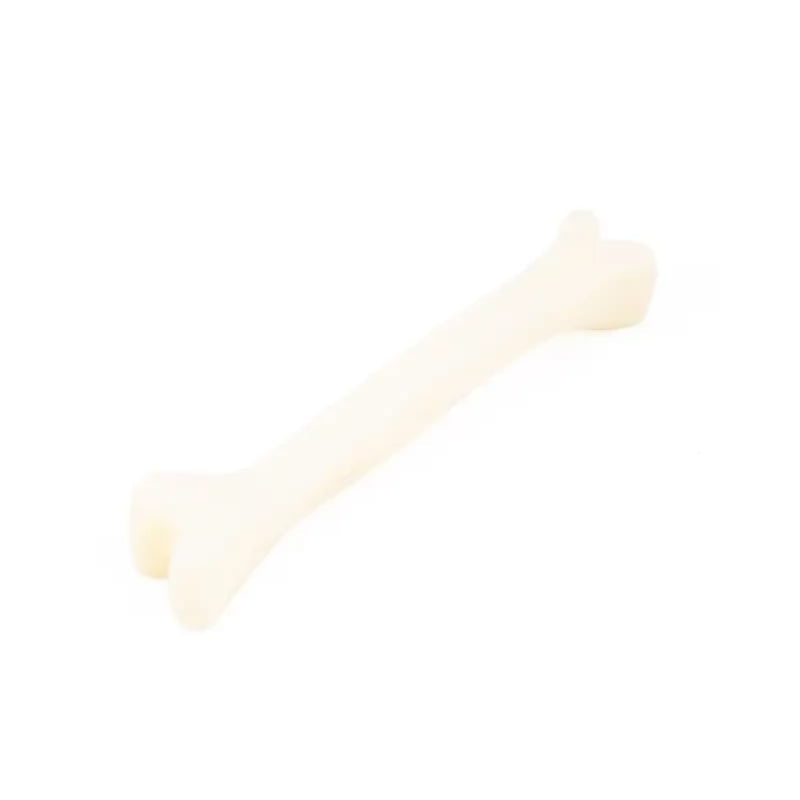 1715776932080__1715776931620__145A5515