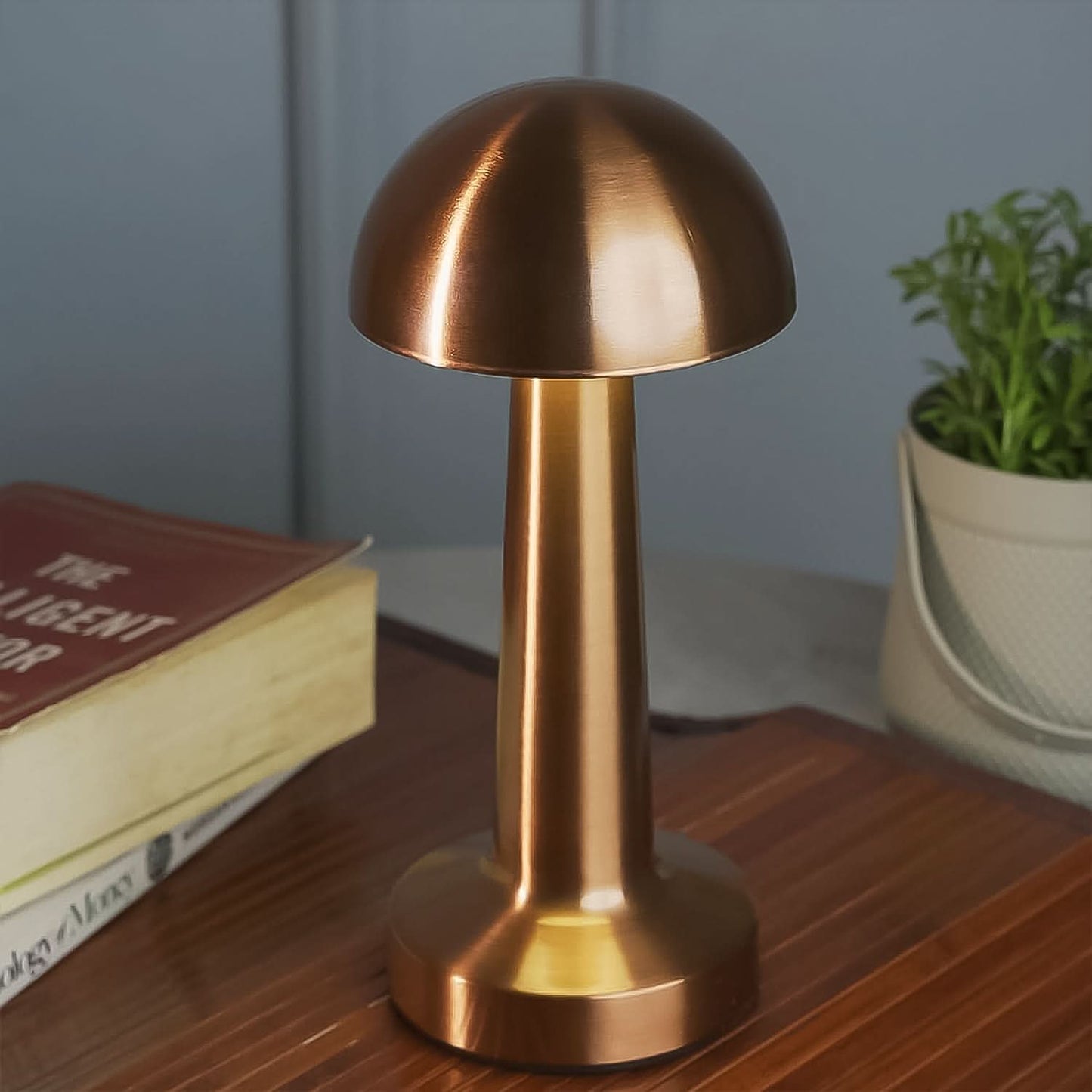 Touch Control LED Desk Lamp – Portable Decorative Metal Table Lamp for Home & Office