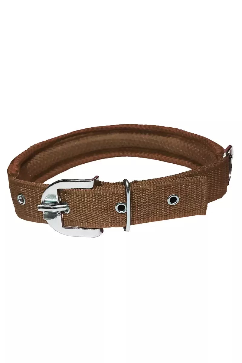 1726726368127__1726726367729__Meesh%20C%20BrownBack