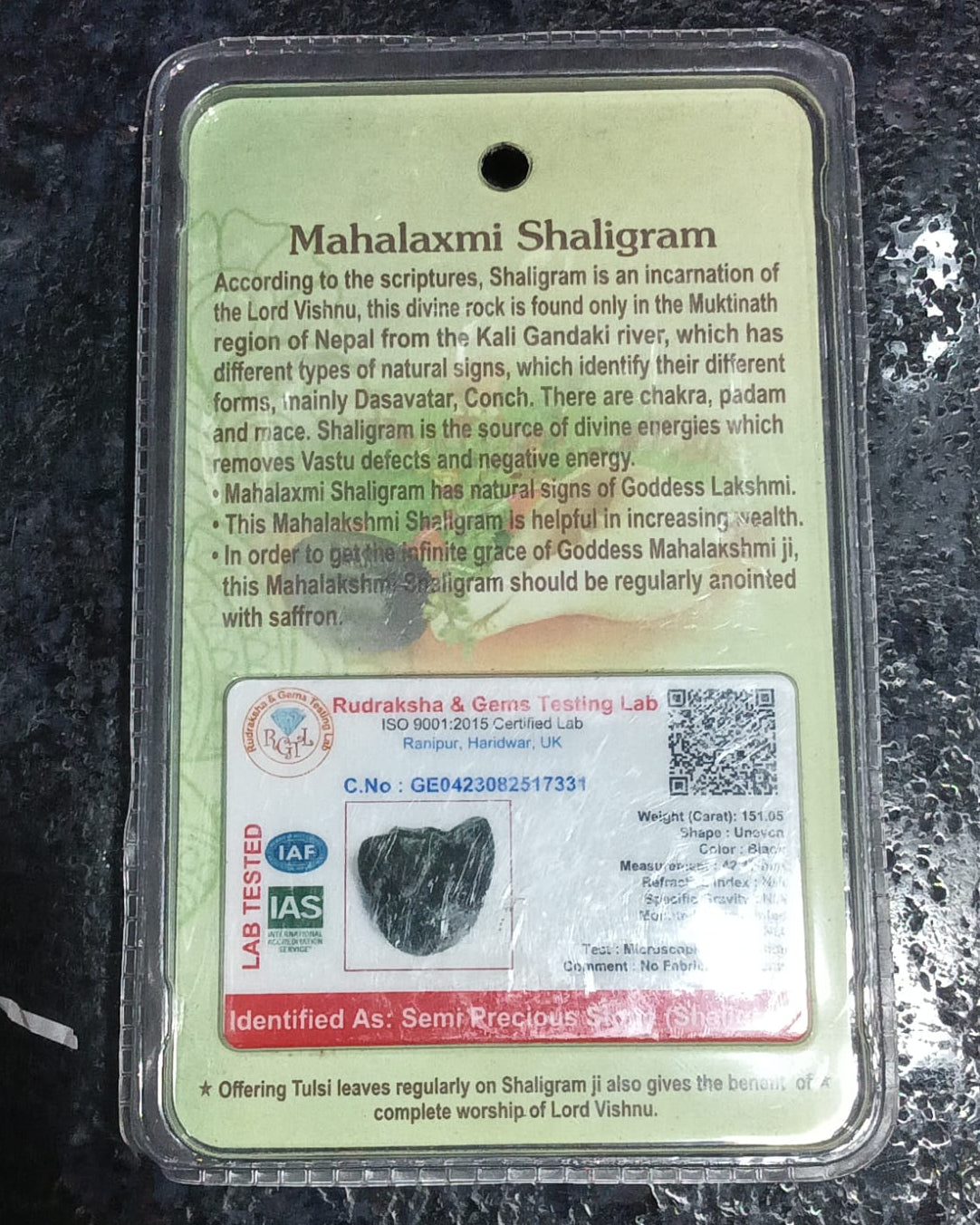 Mahalaxmi Shaligram – Sacred Lakshmi-Vishnu Salagrama Shila for Wealth, Prosperity & Divine Blessings