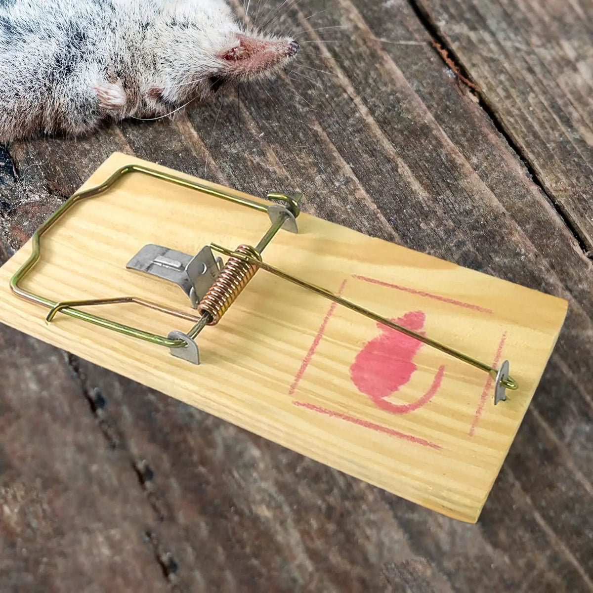 Wooden Mouse Rat Traps (1 Pc) HP DD