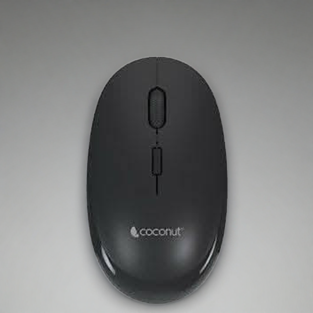 Coconut Glory Wireless & Bluetooth Mouse(Black)