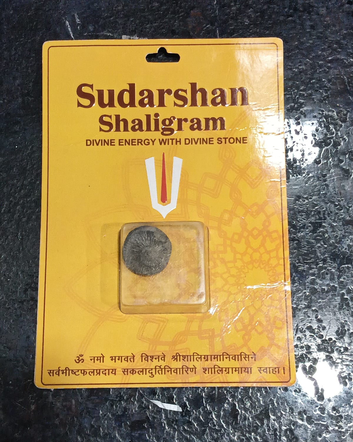 Sudarshan Shaligram – Sacred Sudarshan Chakra Salagrama Shila for Protection, Positivity & Divine Energy
