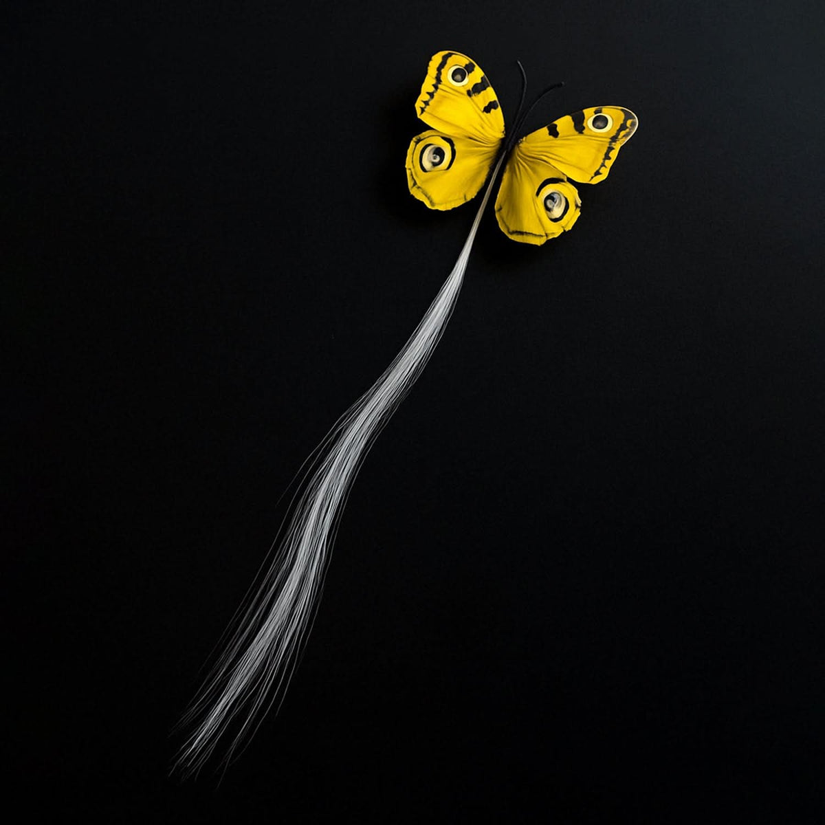 Led Butterfly Hair Braid Clip (Mix Color 1 Pc) HP DD