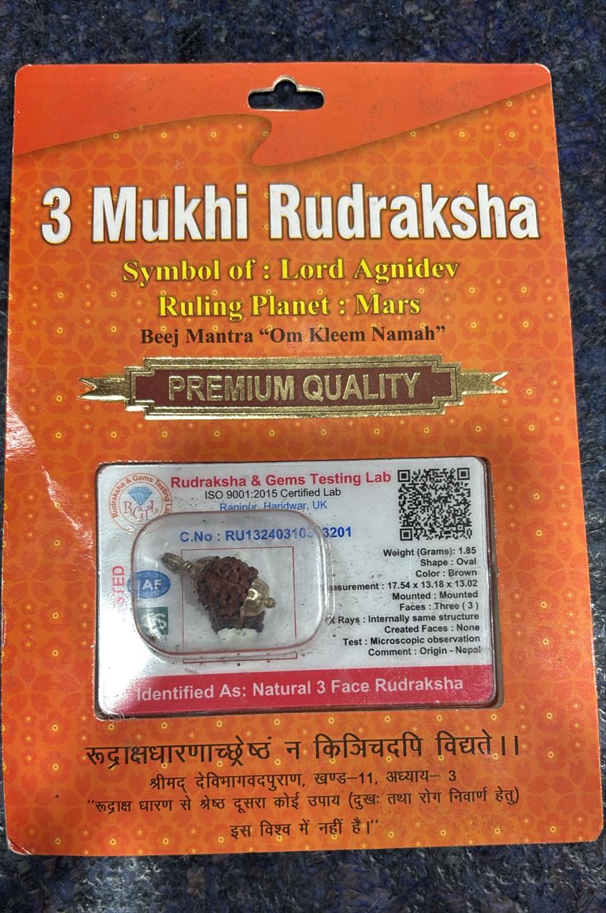 3 Mukhi Rudraksha Bead – Agnidev Blessing Natural Sacred Rudraksha
