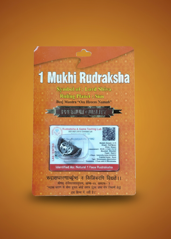 1 Mukhi Rudraksha Bead – Shiva Blessing Sacred Natural Rudraksha