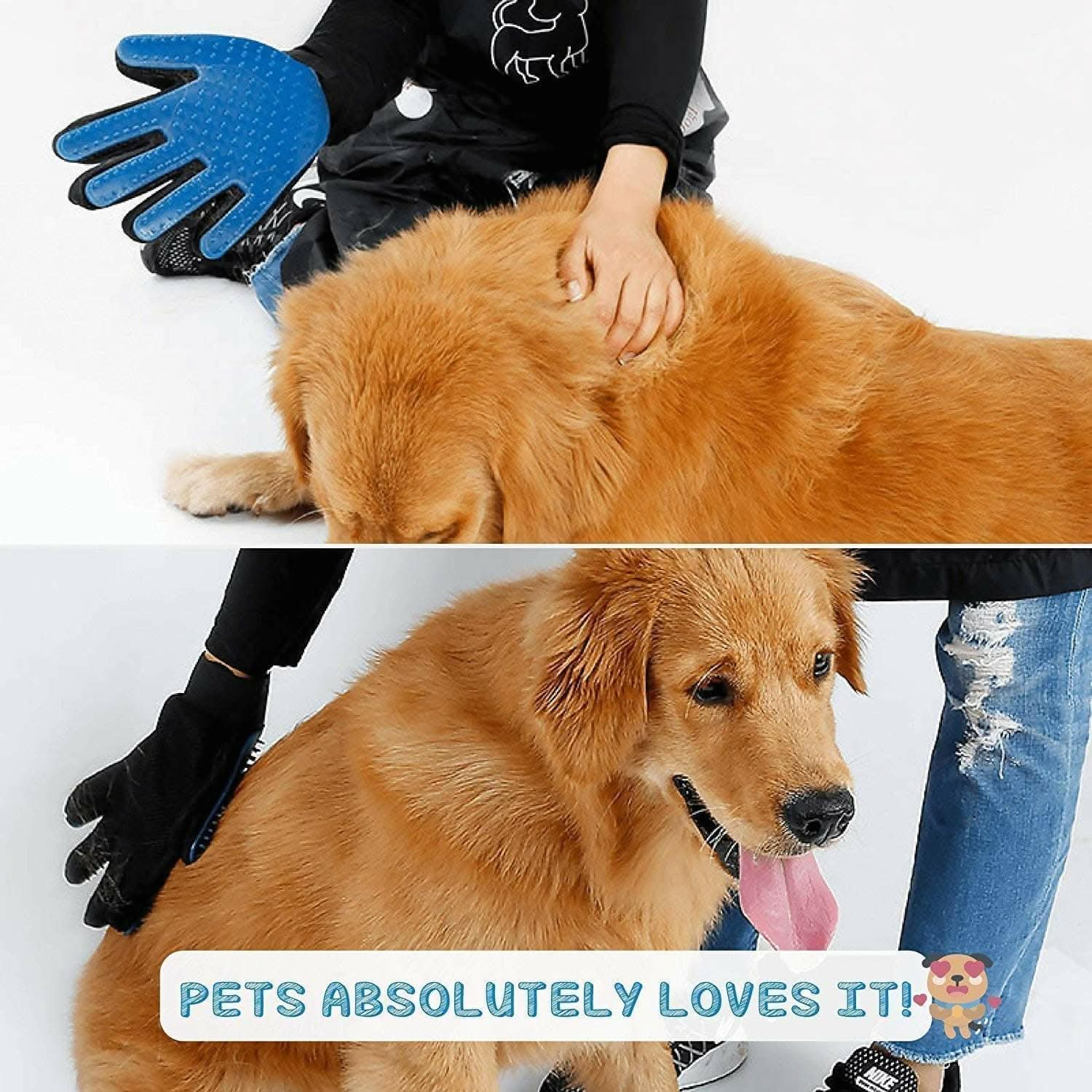 Pet Hair Remover Grooming Glove (Single Piece) - HalfPe