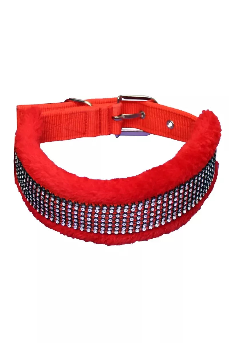 1726730419908__1726730419553__IMG_0921