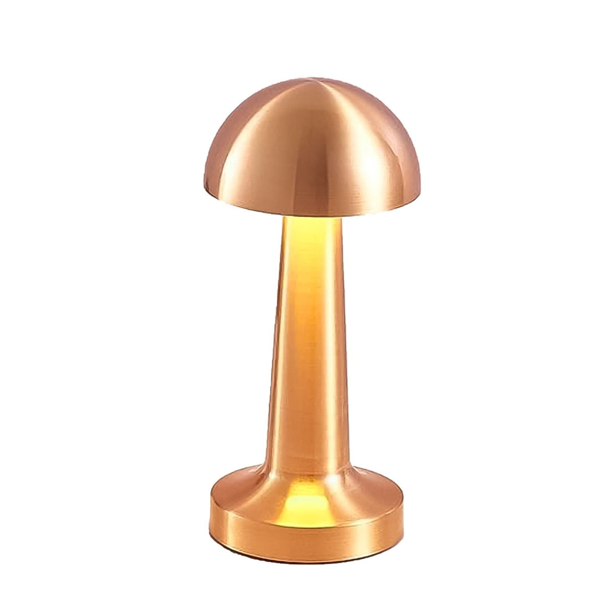Touch Control LED Desk Lamp – Portable Decorative Metal Table Lamp for Home & Office HP DD