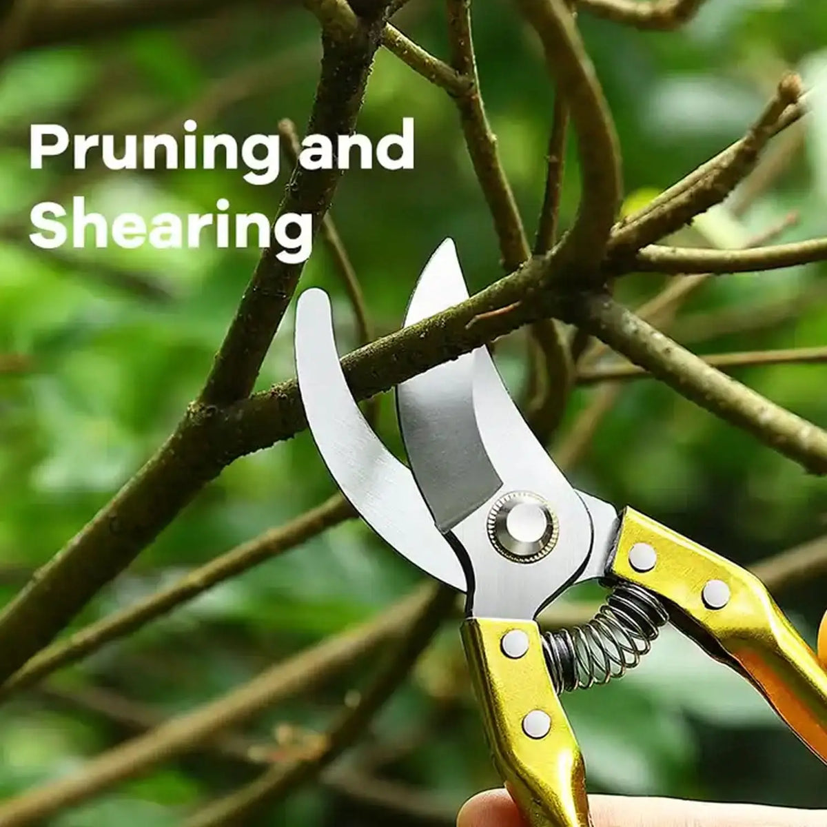 Gardening Tools - Garden Shears Pruners Scissor (1 Pc) HP DD