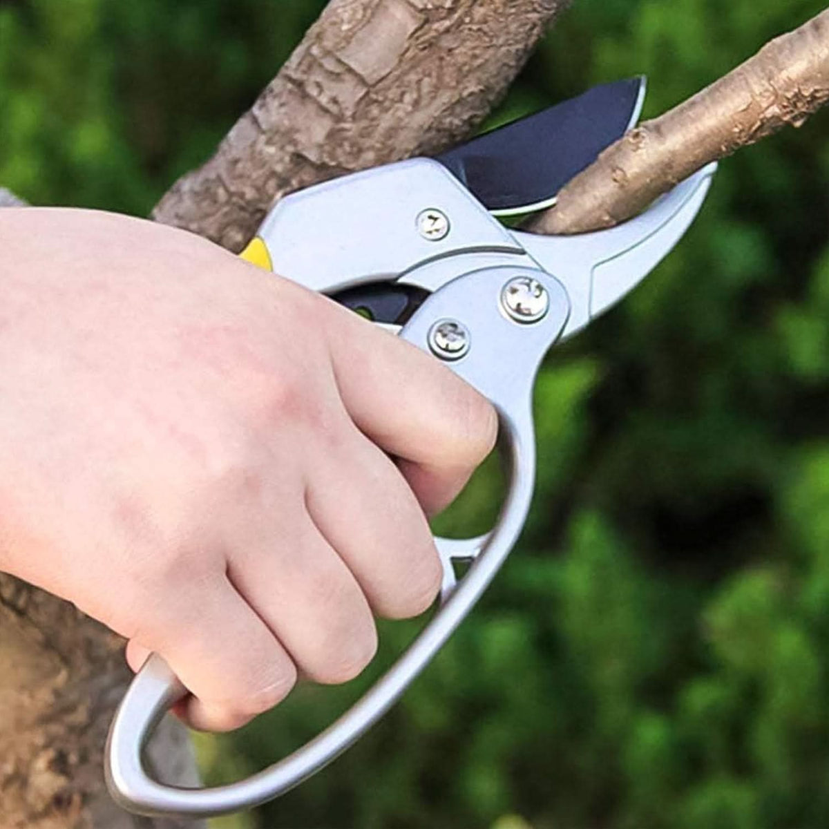 Gardening Shears Enhanced Garden Shears Pruning Machine (200 Mm  1 Pc) HP DD