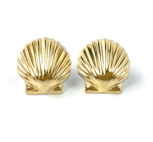 Clam Shell Stud Earrings