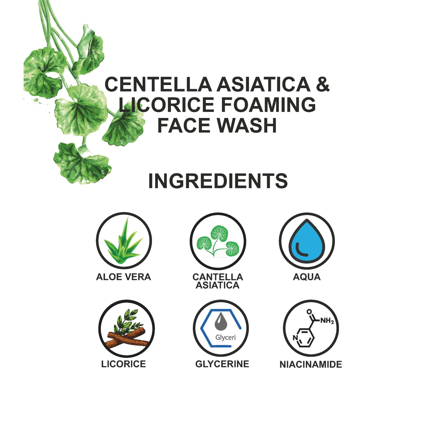 Love Earth Centella Asiatica & Licorice Foaming Face Wash For Sensitive Skin,Anti Pigmentation,Anti Blemishes,Reduce Freckles 100Ml