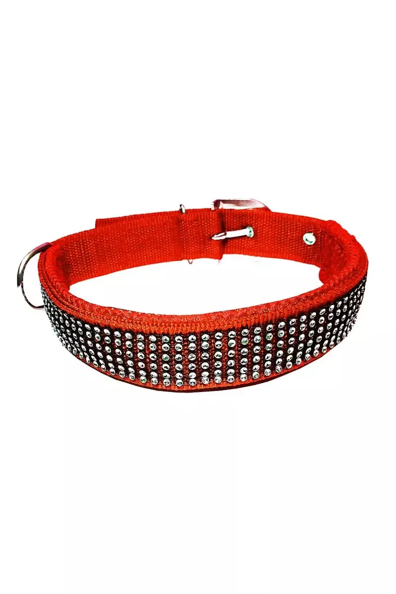 1726729570381__1726729570055__Meesh%20C%20Red