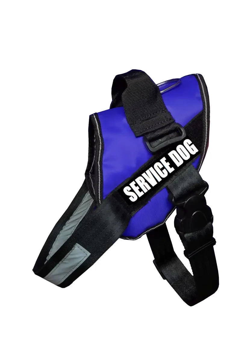1726568023421__1726568022910__SERVICE%20DOG%20BLUE%20K9%20HAR