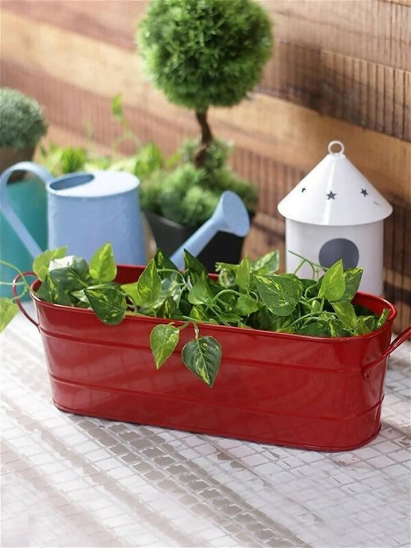 Oval Planter Large Red - HalfPe