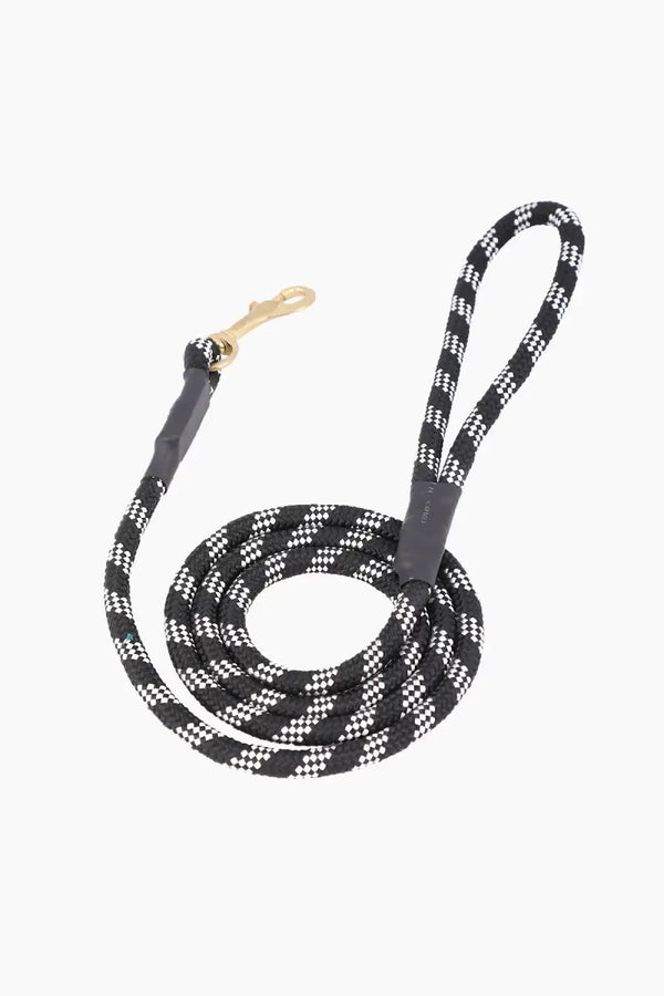 1712035523236__1712035522892__145A5716