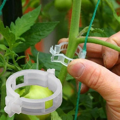 Ecofynd Plant Support Clips for Vegetables & Flowers (100pcs) - HalfPe