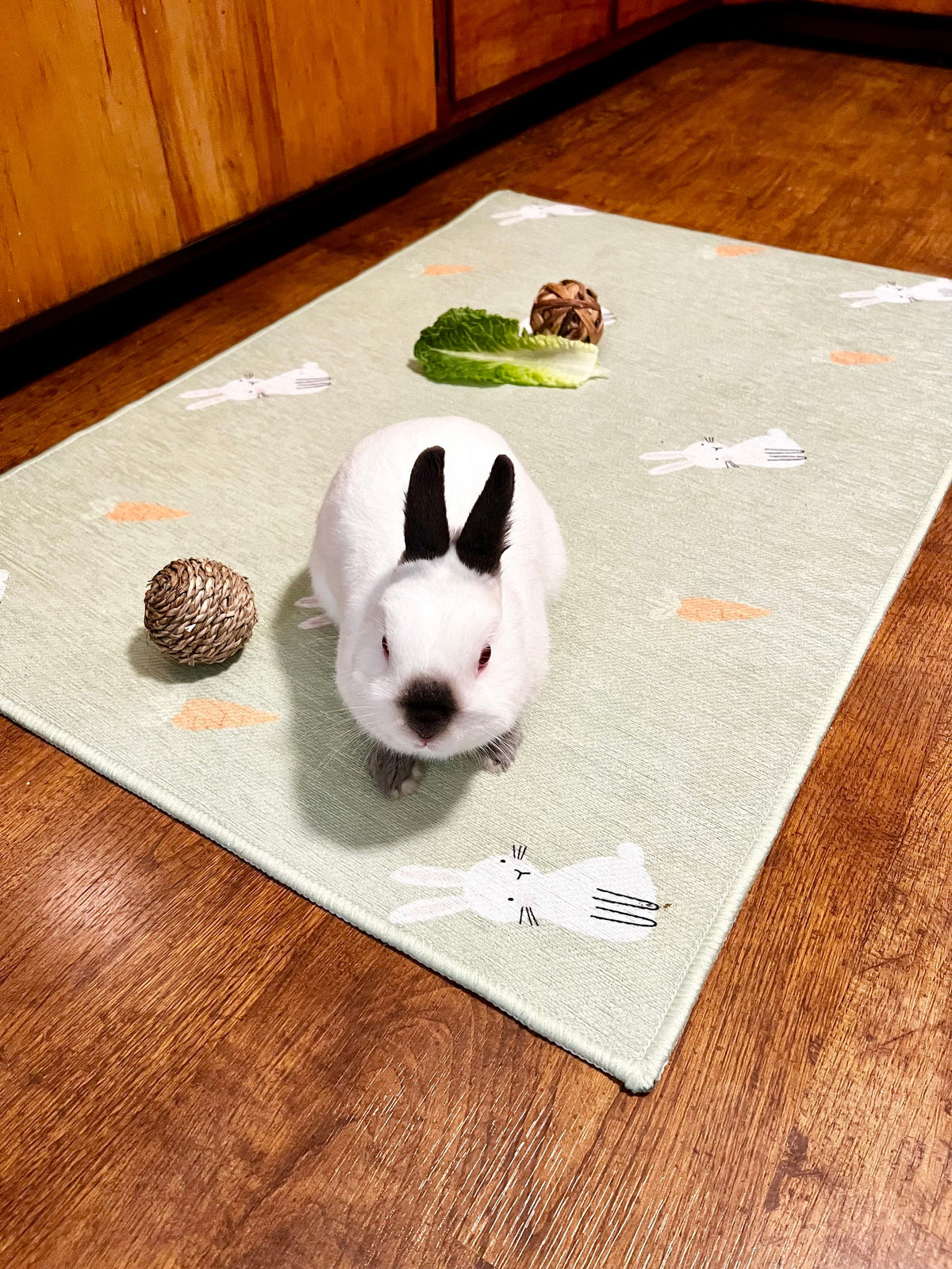 Premium Rabbit Design Mat for Charming Room Decor – Sathyabhama Decors and Interiors