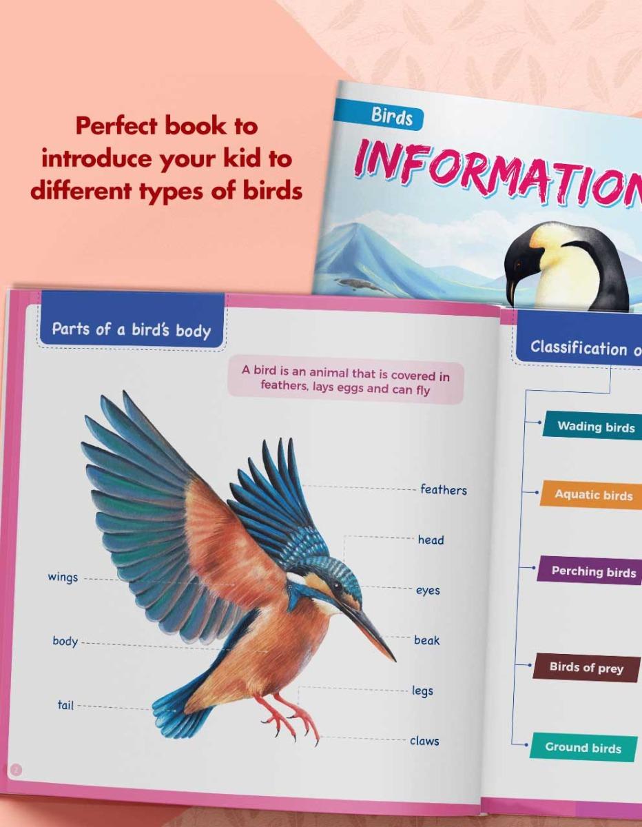 Activity Book Kit for Kids | My Early Learning Book of Birds - Image 3