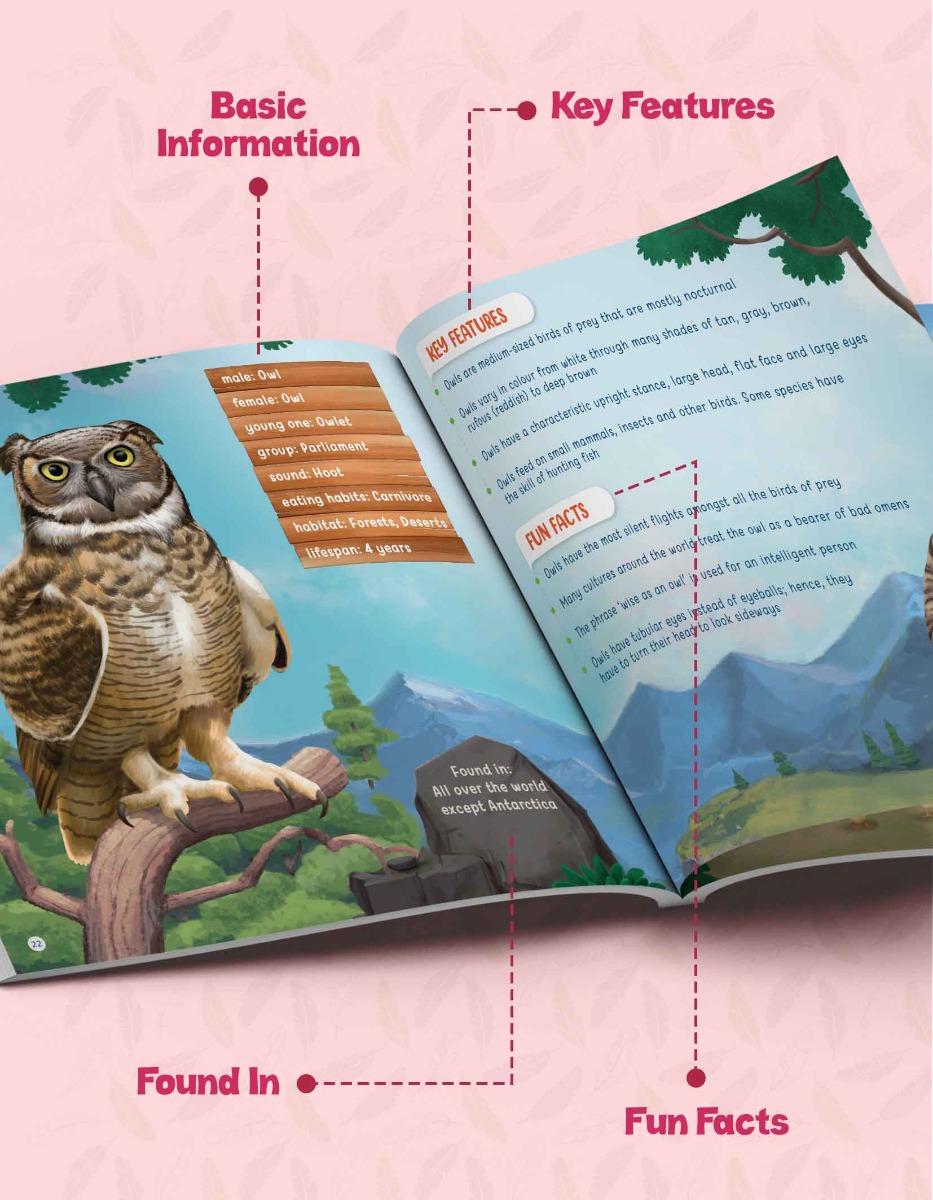 Birds Information Book for Kids | Early Learning Activity Book - Image 2