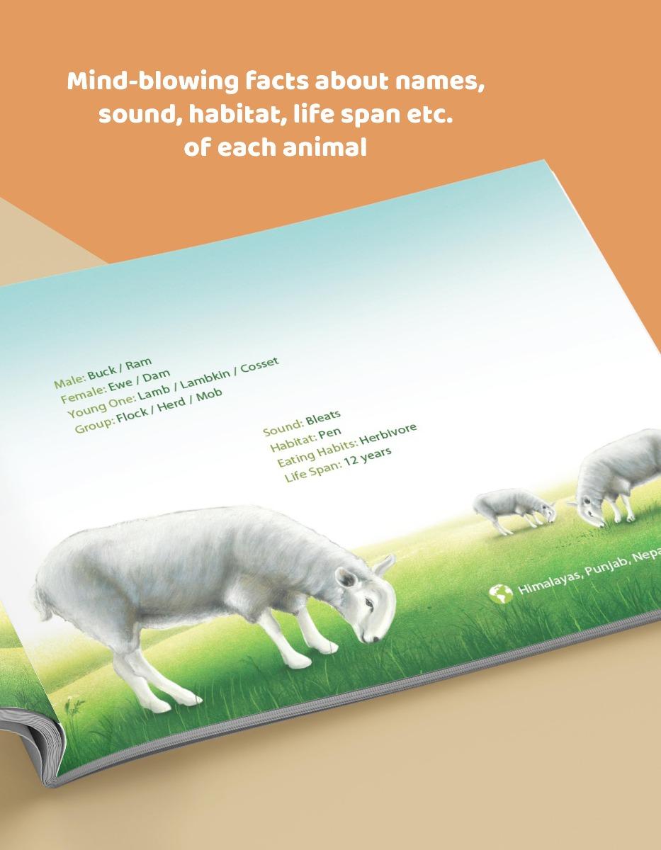 Animal Kingdom Book for Kids in English | Ages 5-10 Years - Image 3