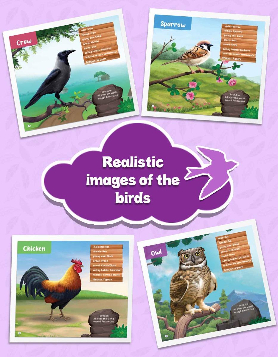 Birds Information Book for Kids | Early Learning Activity Book - Image 7