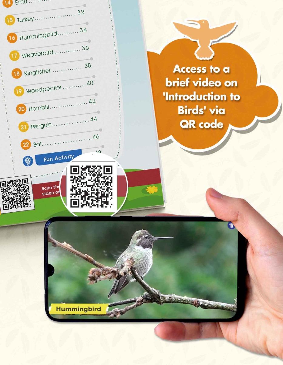 Birds Information Book for Kids | Early Learning Activity Book - Image 3