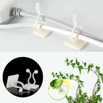 Plant Support for Climbers Leaf Plant Organiser Clip Money Plant Clips for Wall Support Creeper Plant - HalfPe