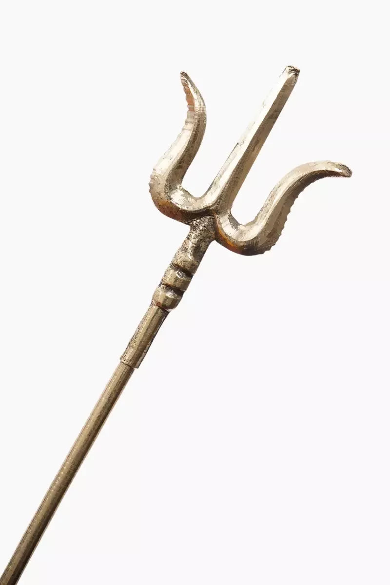 1736155010551__1736155010192__DSC07572