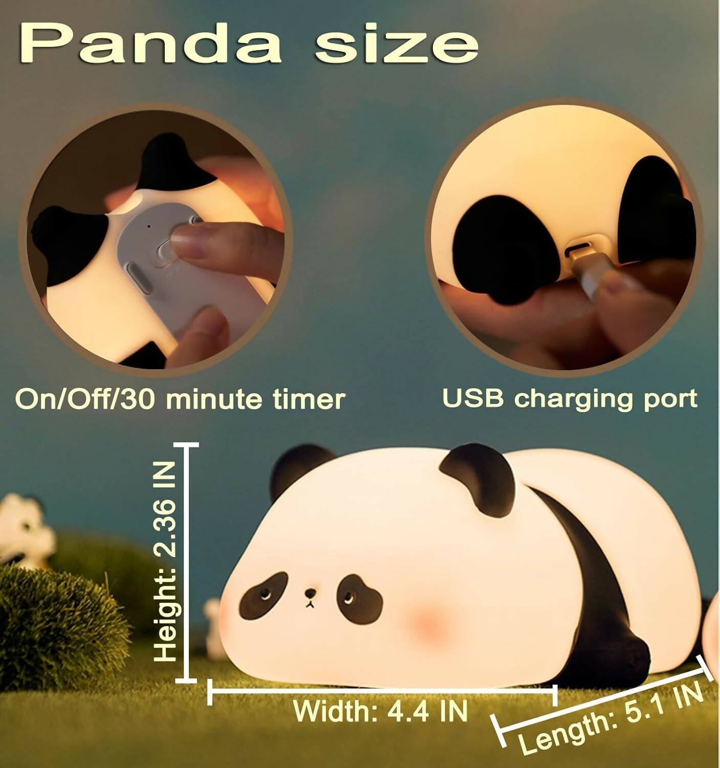 716VBn7PR5L._SL1500_