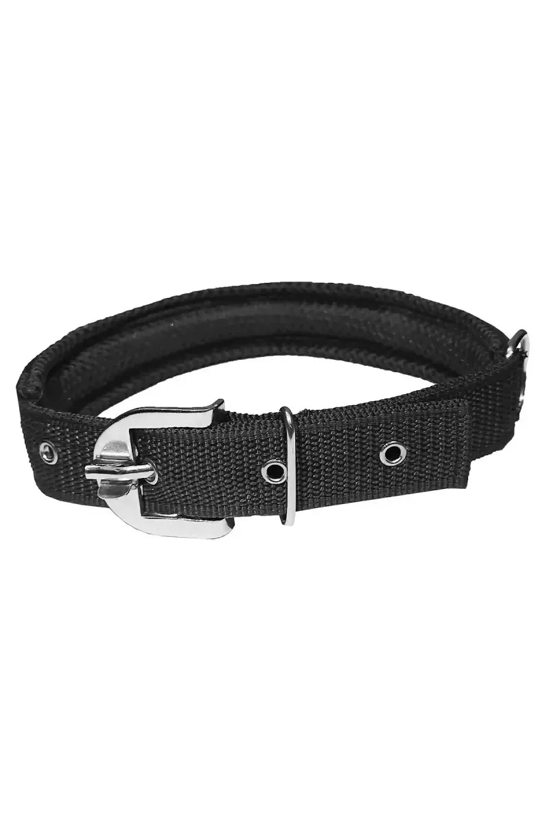 1726729835450__1726729835182__Meesh%20C%20Black%20Back