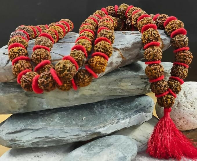 Rudraksha Kantha Mala 54 Beads – Natural Sacred Bead Short Mala for Prayer & Daily Wear