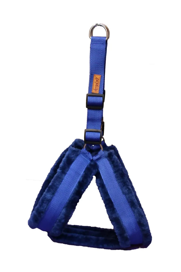 1726646756272__1726646755931__IMG_0927