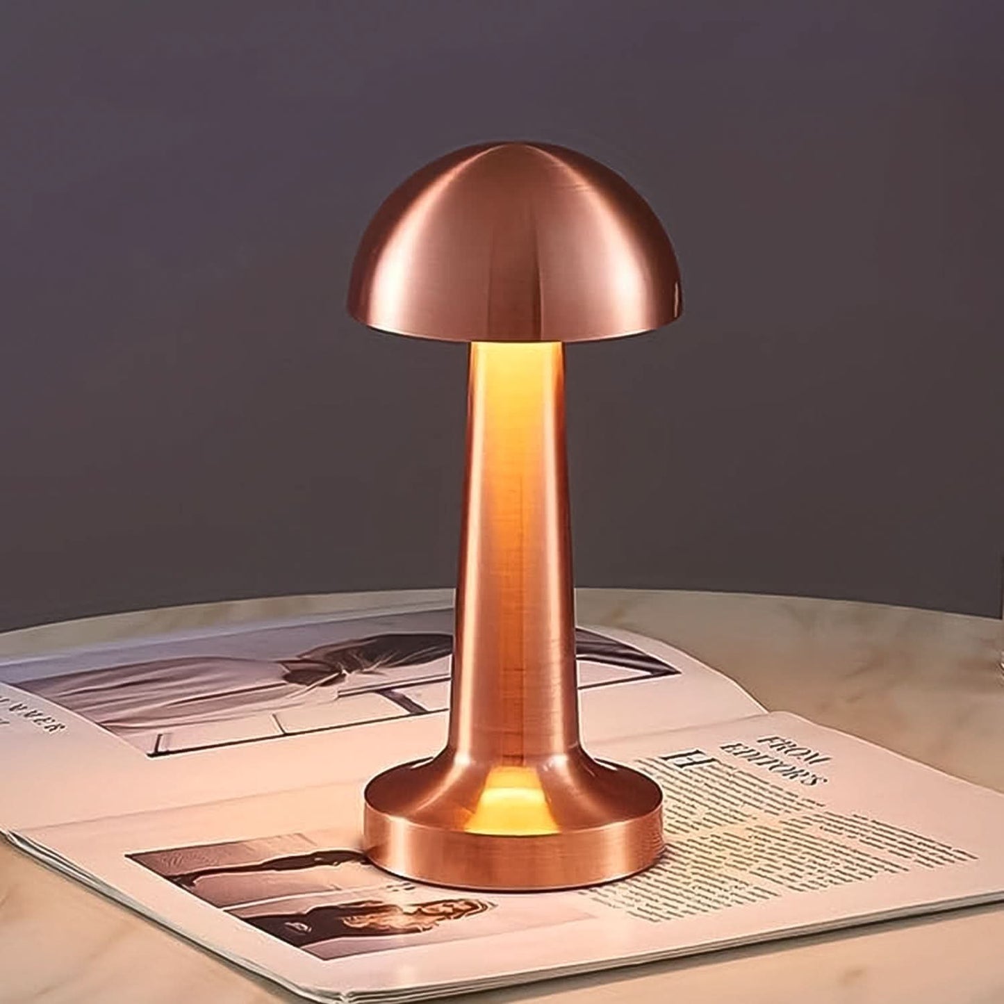 Touch Control LED Desk Lamp – Portable Decorative Metal Table Lamp for Home & Office