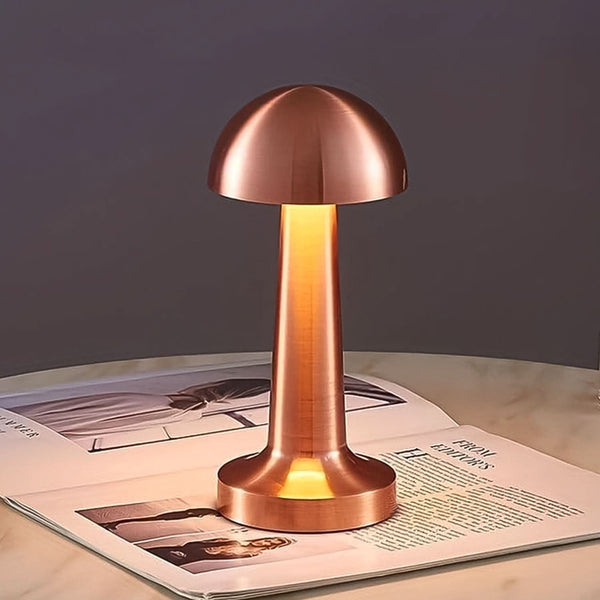 Touch Control LED Desk Lamp – Portable Decorative Metal Table Lamp for Home & Office HP DD