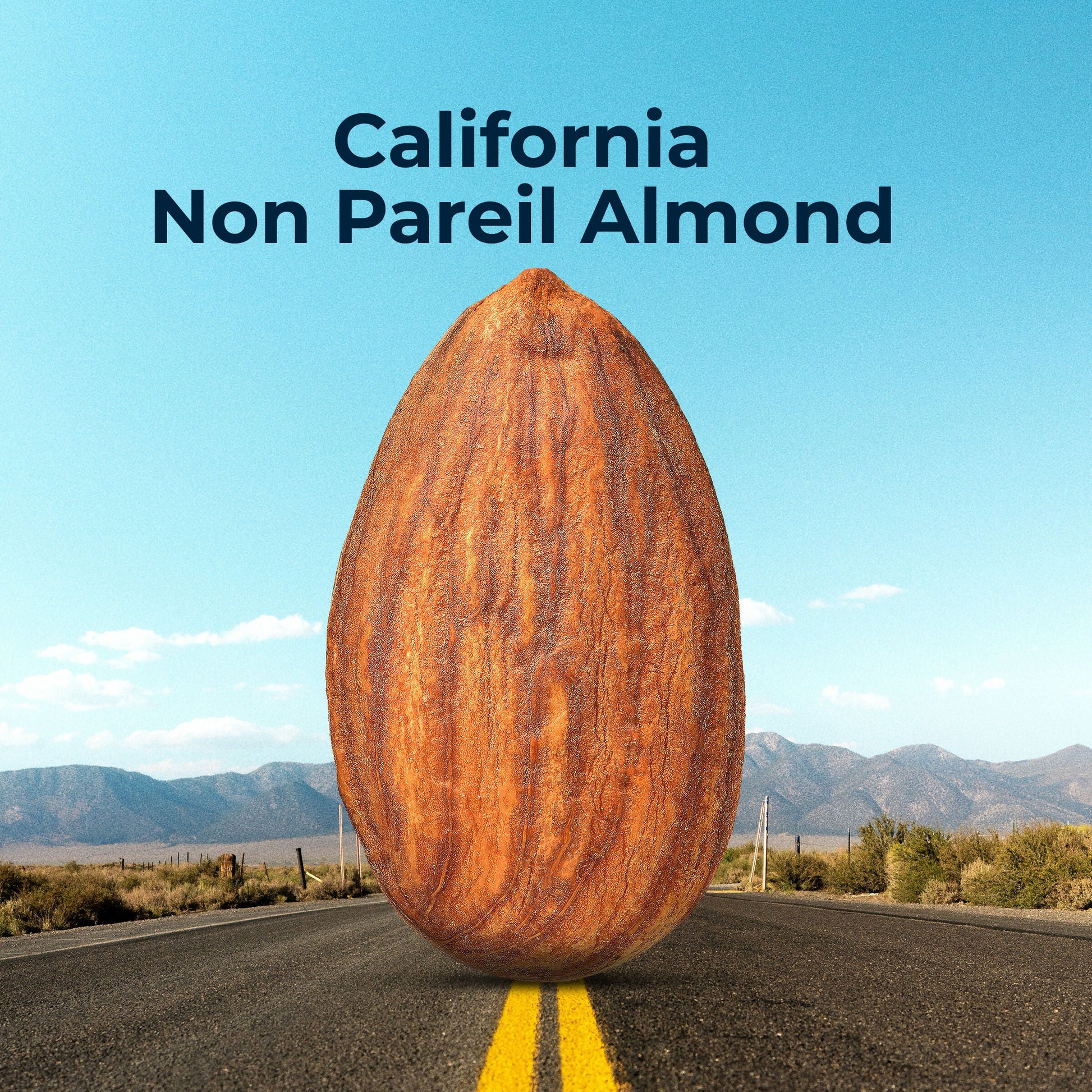 Auric Almonds Cheese & Black papper 50g Zenith Drinks