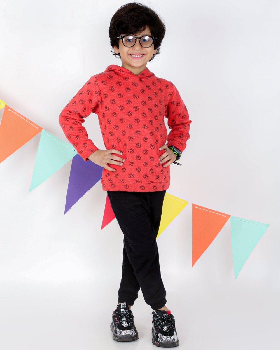 Mighty Lion Hooded Sweatshirt - KS-RLPH-1-2